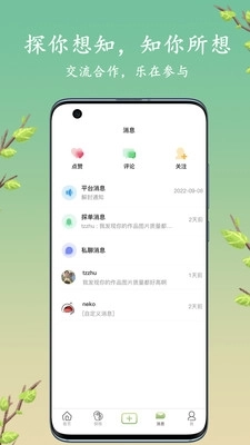 探枝图4