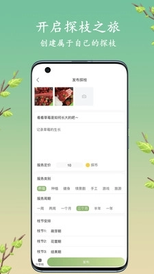 探枝图3