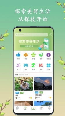 探枝图2