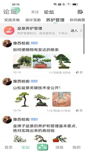 千盆网最新版图1