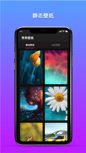 秀秀壁纸3D动态壁纸图3