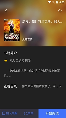 冰川小说纯净版