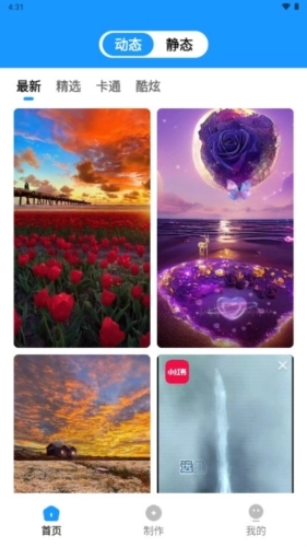 企鹅壁纸手机版图4