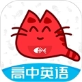 大猫高中英语