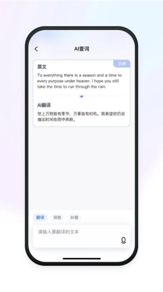 有道小P