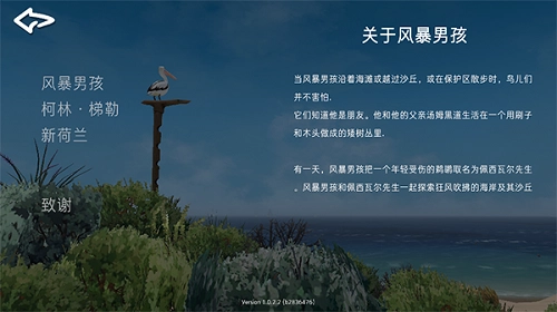 男孩与鹈鹕中文版(2)