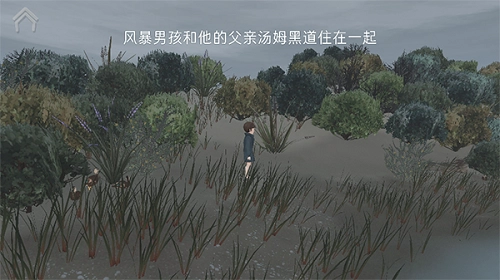 男孩与鹈鹕中文版(1)