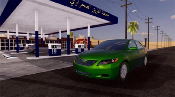 阿尔卡姆里之王-图5