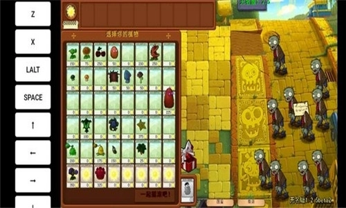 植物大战僵尸无名版(2)