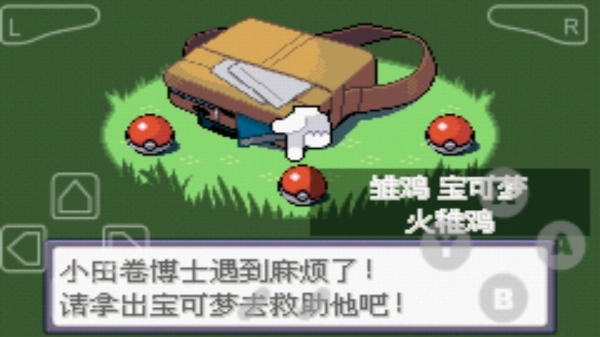 口袋妖怪绿宝石手机版(3)