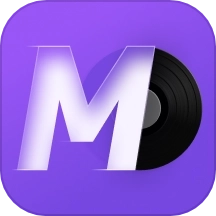 谜底黑胶(MD Vinyl)