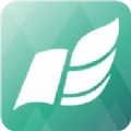 书芽纯净版