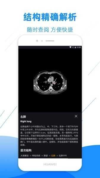 影像解剖图谱图2