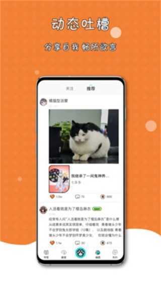 橘子猫轻小说图4