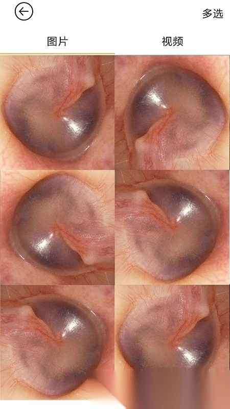 蜂鸟采耳棒(bebird)