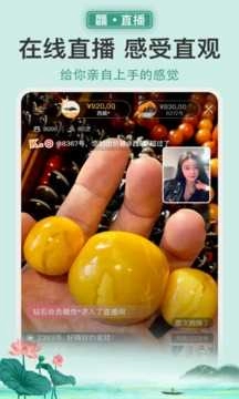 龘藏图4