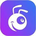 蚂蚁看看