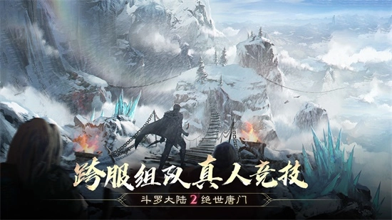 斗罗大陆2绝世唐门正式版(2)