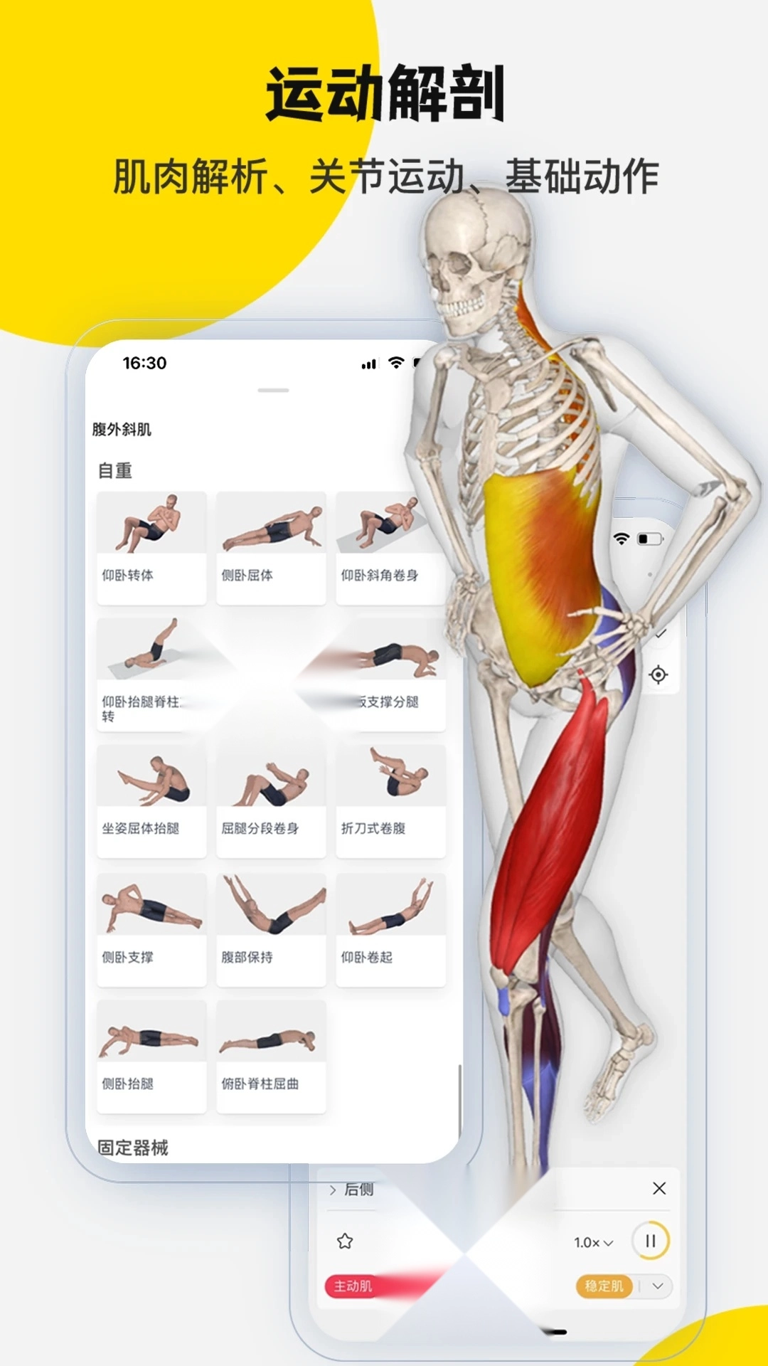3dbody解剖软件图1