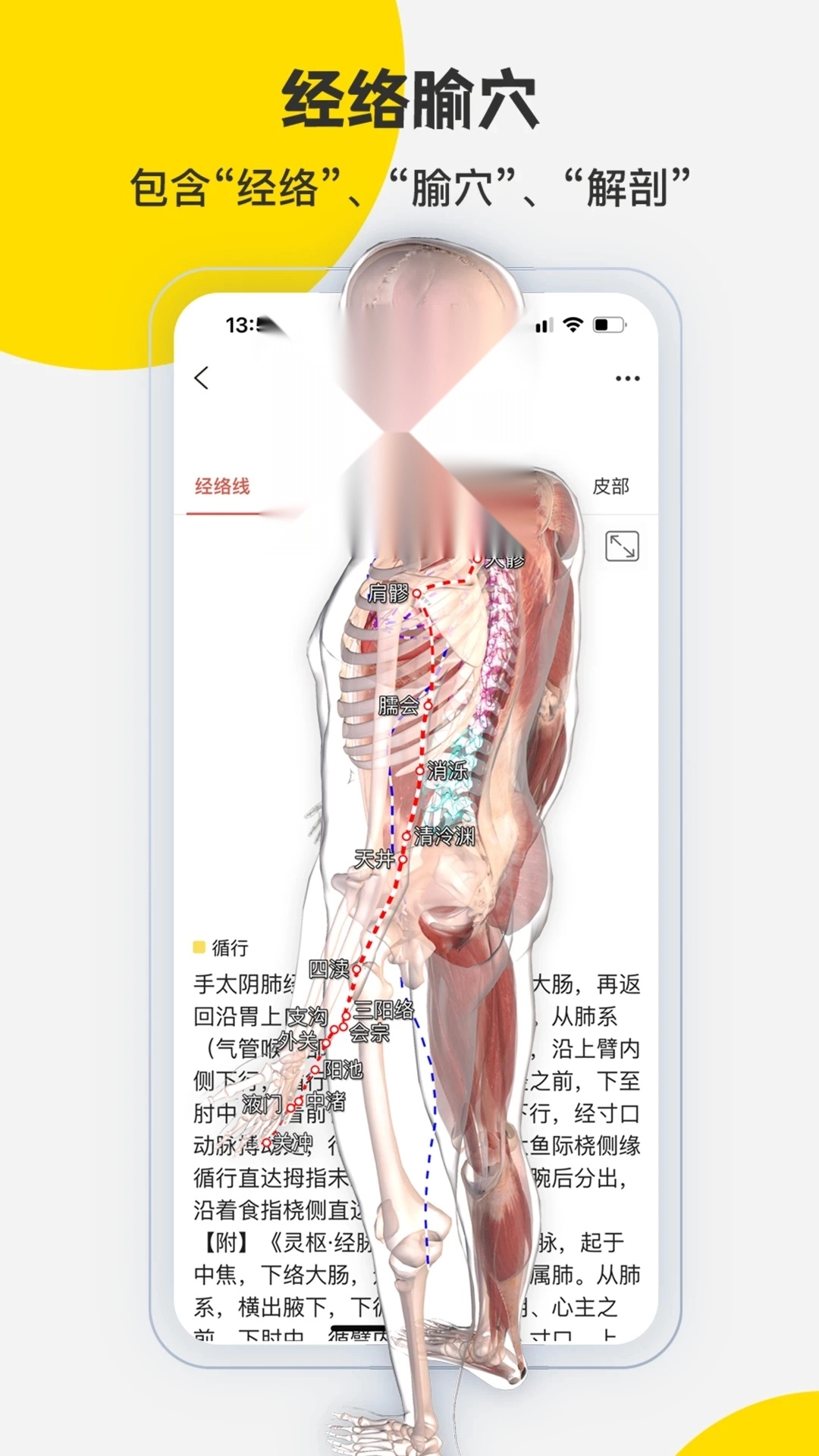 3dbody解剖软件图4
