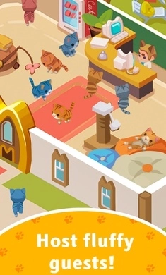 猫咪主题公园(2)