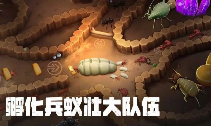 蚂蚁大冒险