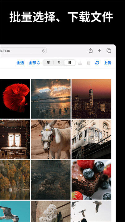 文件闪传高级版图4