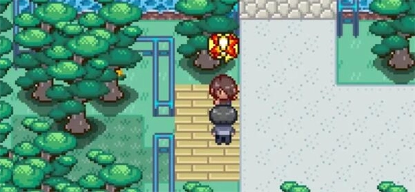 宝可梦迷之规则