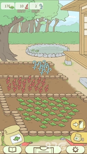 暖洋洋之森的药师