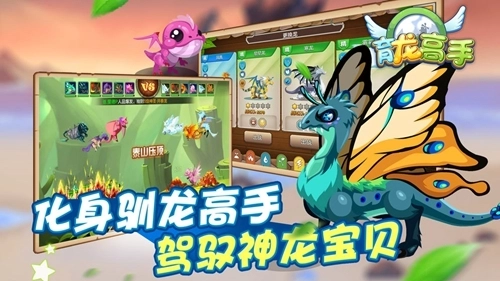 育龙高手360版(2)