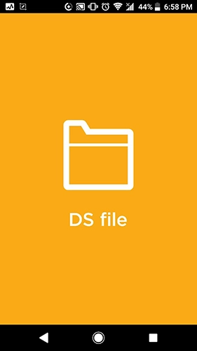DS file