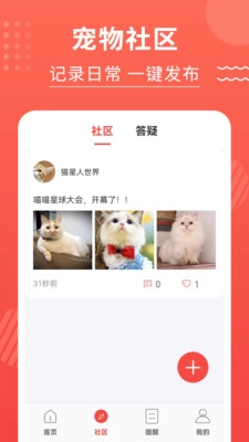 猫猫翻译器图5