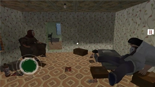 边境检察官模拟器手机版(3)