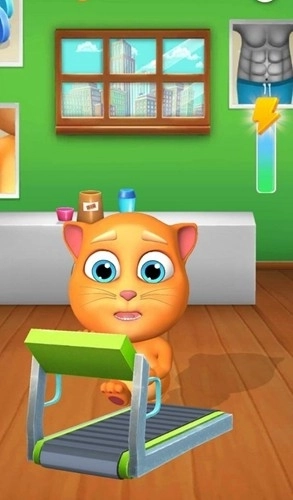 我的会说话的猫Tommy中文版(1)