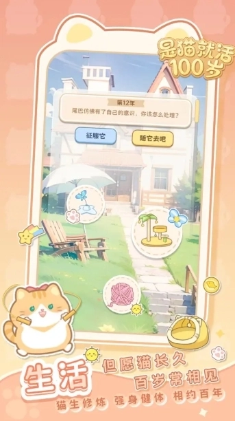 是猫就活100岁