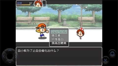 WEB玉老師的解剖生理圖3