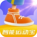 智能运动宝
