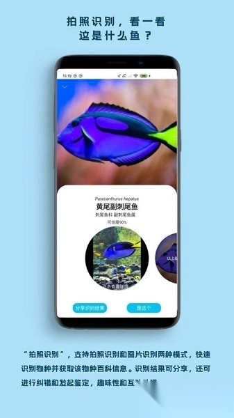 看鱼软件图2