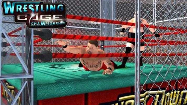 摔跤大聯(lián)盟職業(yè)對抗賽(World Tag Team)圖3