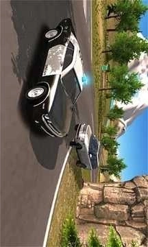 警車追匪(Police Highway Chase)圖2