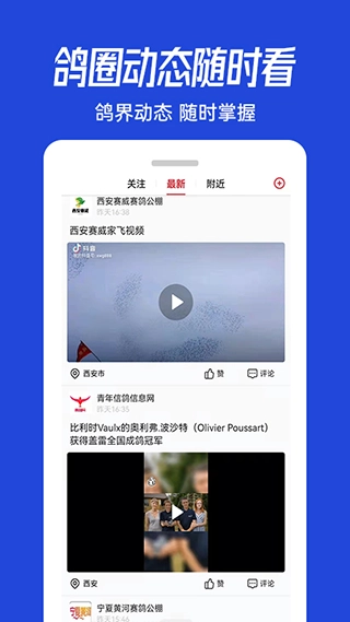 青鸽网赛鸽成绩查询图3