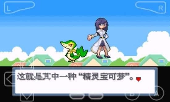 口袋妖怪白金光2汉化版(4)