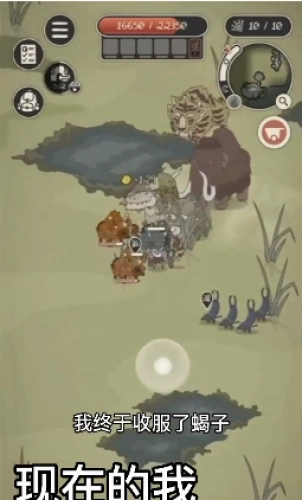 頂級富翁動物森林圖3