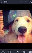 光影魔术手最新版图3