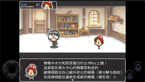 WEB玉老師的解剖生理圖2