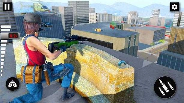 秘密狙擊手任務(Secret Sniper Mission)圖3