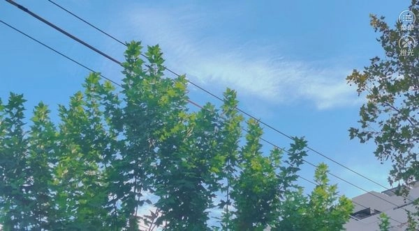 你是女巫吗手机版(2)
