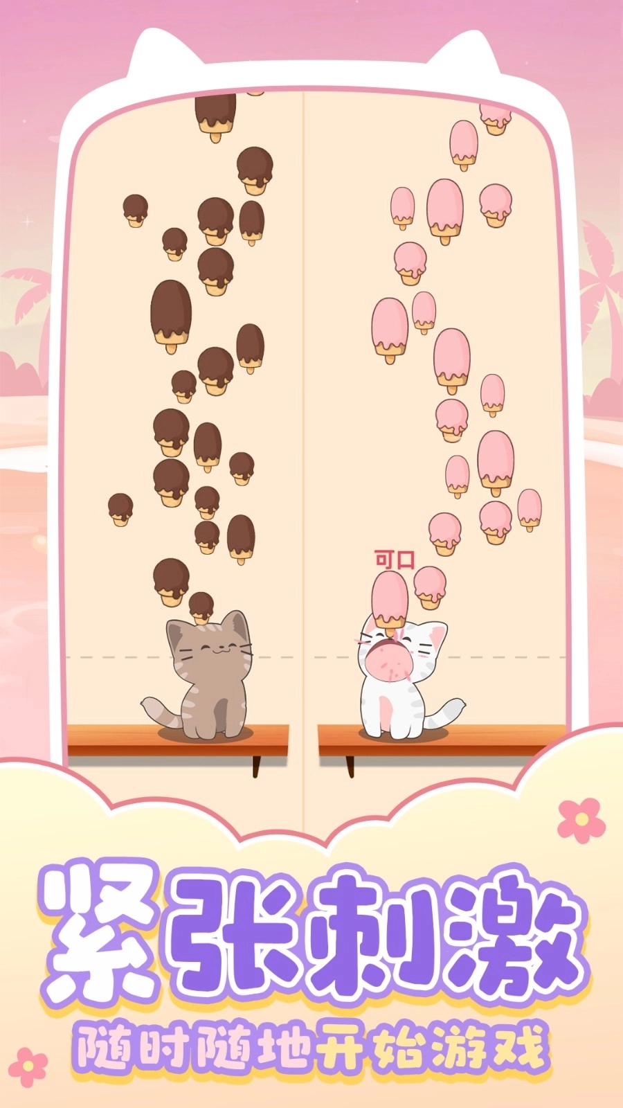 猫咪养成日记(1)