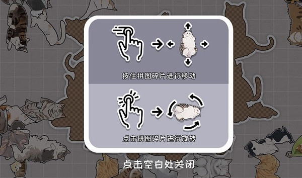 挤在一起的狗狗手机版(6)