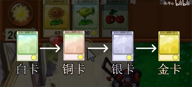 PvZ新指导版